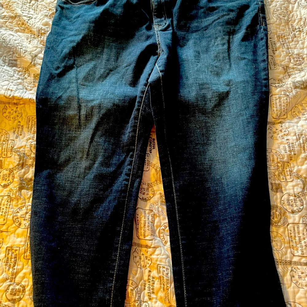 Venezia by lane Bryant dark wash jeans. New with tags